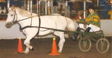 Christine and Valur Obstacle Driving